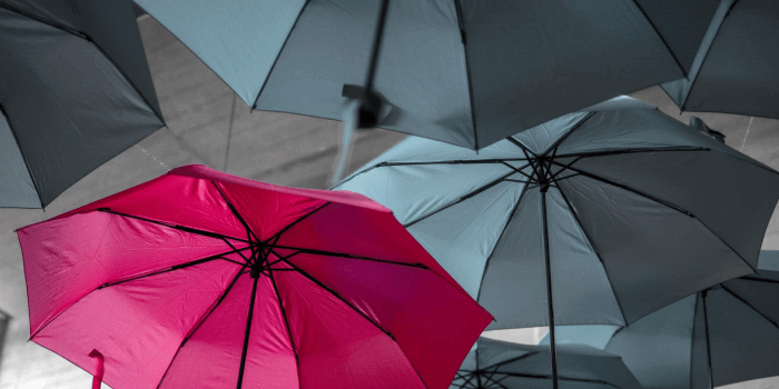 Pink umbrella in sea of gray umbrellas